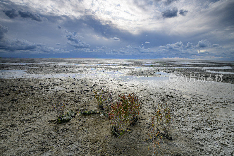 在荷兰北部的瓦登海自然保护区“de Wadden”，有潮汐沙滩的空旷景观